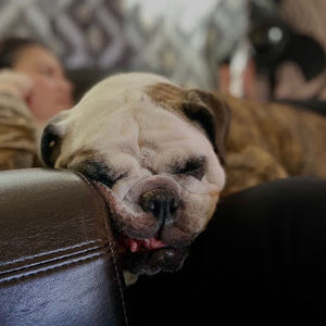 Meet your Posher, Michelle